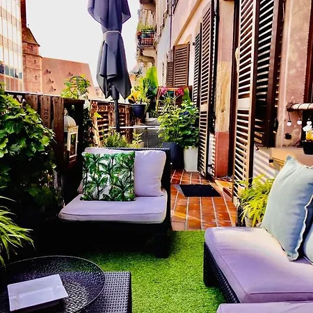 La Terrasse Desaix Appartement Strasbourg